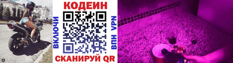 Codein напиток Lean (лин)  OMG tor  Ардатов  наркотики 