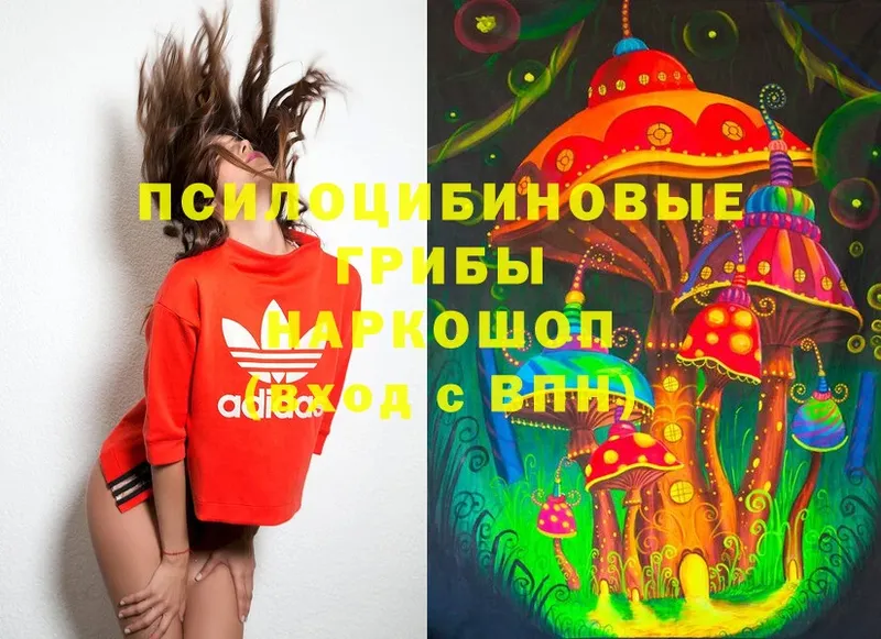 где купить   блэк спрут вход  Псилоцибиновые грибы Cubensis  Ардатов 