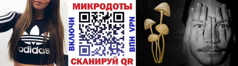 Галлюциногенные грибы прущие грибы  Ардатов 